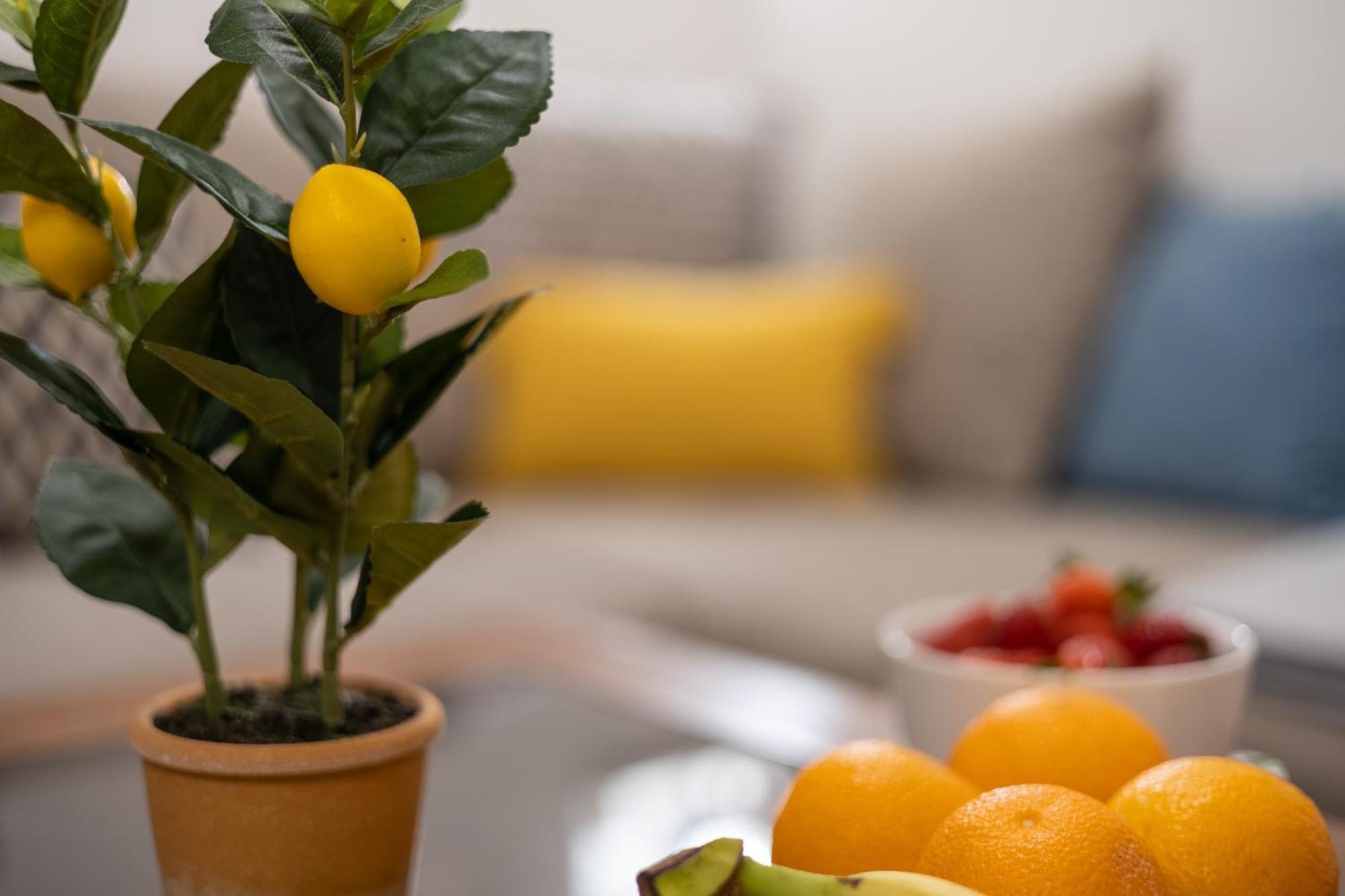 Piazza Square City Top Centre Apartments Split Ngoại thất bức ảnh